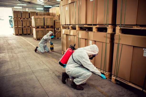 Best Affordable Pest Control Services  in Hot Springs, AR
