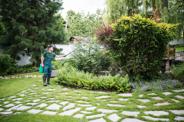 Best Wasp Removal Services  in Hot Springs, AR