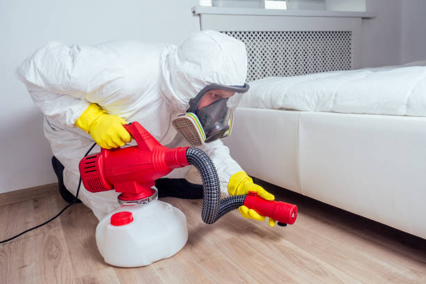 Best Residential Pest Control  in Hot Springs, AR