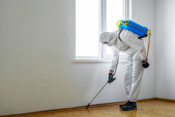 Best Mosquito Control Services  in Hot Springs, AR