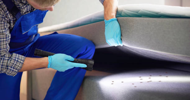 Best Pest Inspection Near Me  in Hot Springs, AR