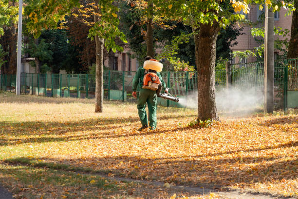 Best Bed Bug Extermination  in Hot Springs, AR